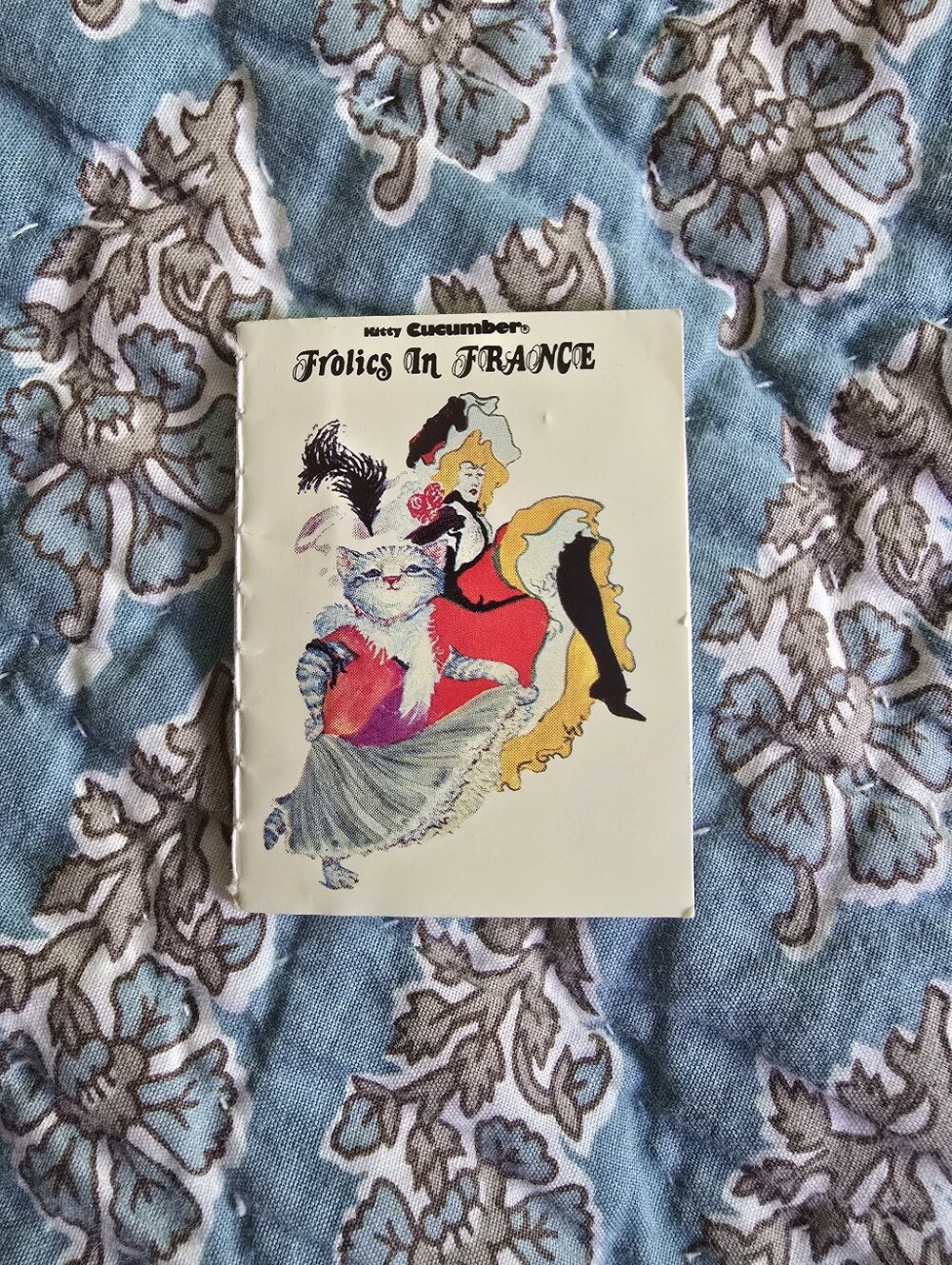 Vintage 1986 Kitty Cucumber Frolics In France Miniature Picture Book